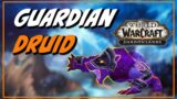 Should you main a Guardian Druid in Shadowlands?