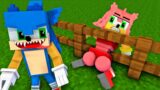 AMY ROSE STUCK in the FENCE SONIC – Wednesday Dance (FNF Minecraft Animation)