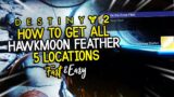 ALL HAWKMOON FEATHER LOCATIONS QUEST STEP | DESTINY 2 BEYOND LIGHT