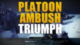 Platoon Ambush Triumph | Destiny 2 Beyond Light