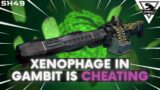 Xenophage in Gambit is CHEATING | Destiny 2 Beyond Light | Stream Highlight 49