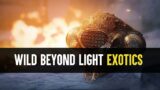 Destiny 2: These New Beyond Light Exotics Look Insane
