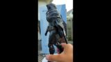 Destiny 2 Beyond Light – The Stranger statue by Numskull